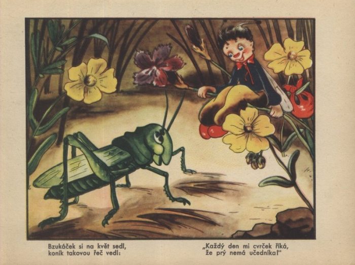 Drtinová, Jiřina - Bzukáček (leporelo)