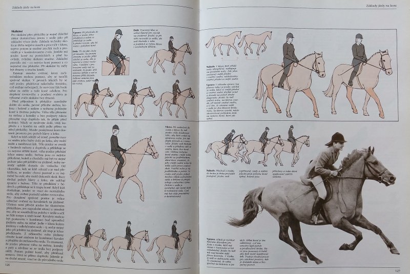 kolektiv autorů - Koně - Velká kniha o chovu a výcviku koní