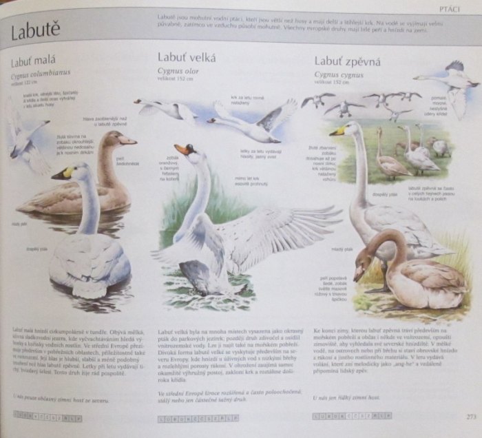 kolektiv autorů - Naše příroda. Živočichové a rostliny střední Evropy (Reader's Digest Výběr)