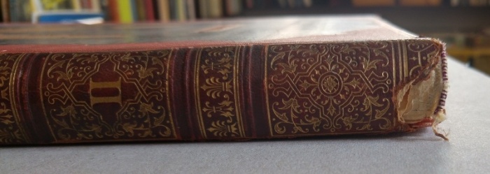 Šubert, FR. Ad.; Borovský, F. A. - Čechy. Díl II., Vltava