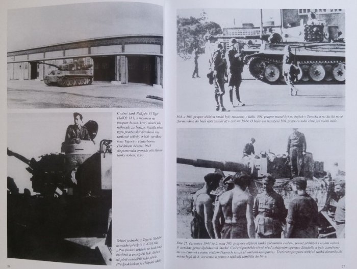 Fleischer, Wolfgang; Scheibert, Horst - Tiger
