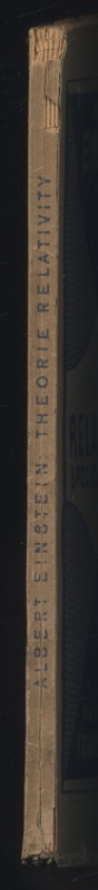 Einstein, Albert - Theorie relativity specielní i obecná