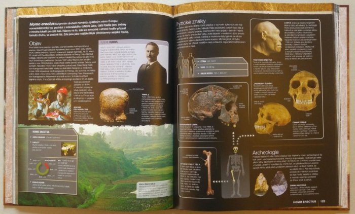 Robertsová, Alice - Evoluce - Příběh člověka