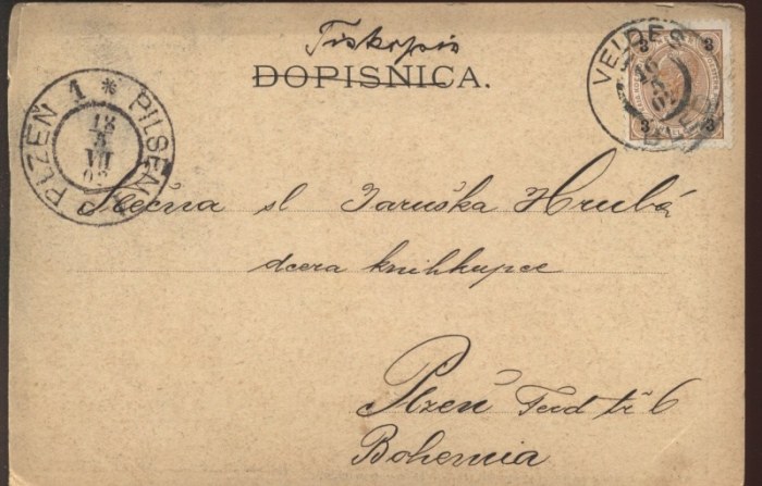 Ljubljana. Triglavska skupina izpod Repikovca.