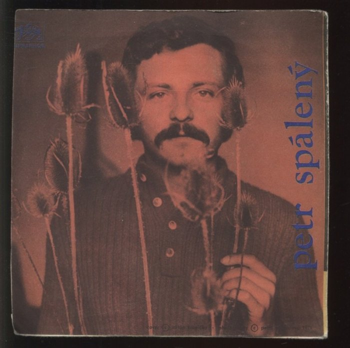 Petr Spálený - Bývala / Můj vodopád