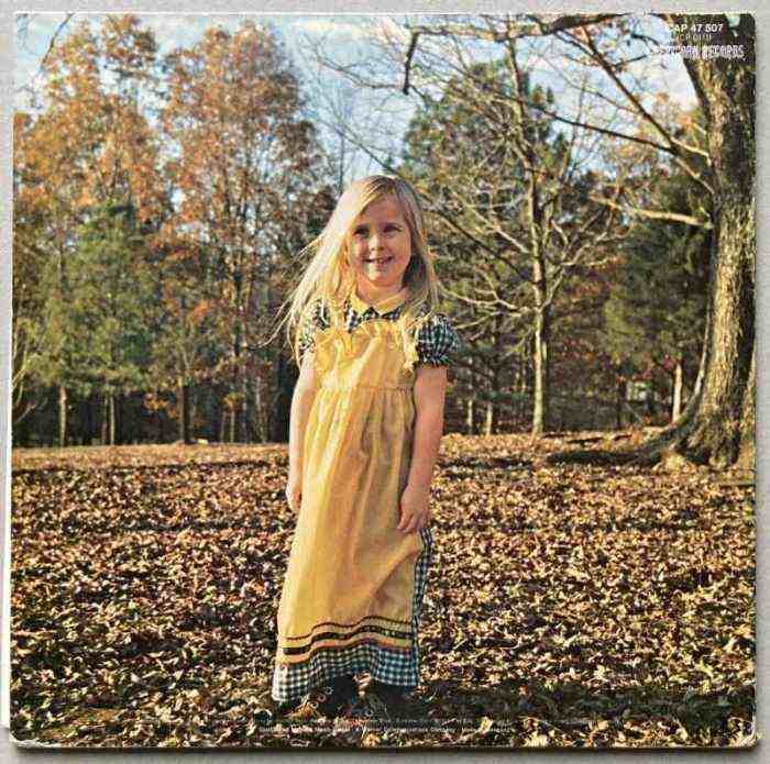 The Allman Brothers Band - Brothers And Sisters (LP)