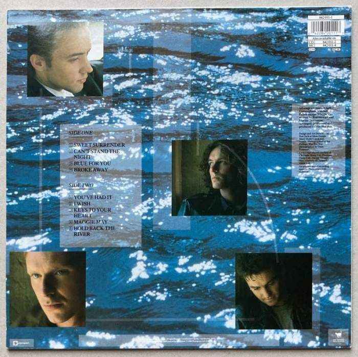 Wet Wet Wet - Holding Back The River (LP)