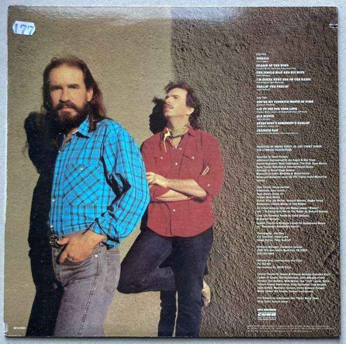 Bellamy Brothers - Howard & David (LP)