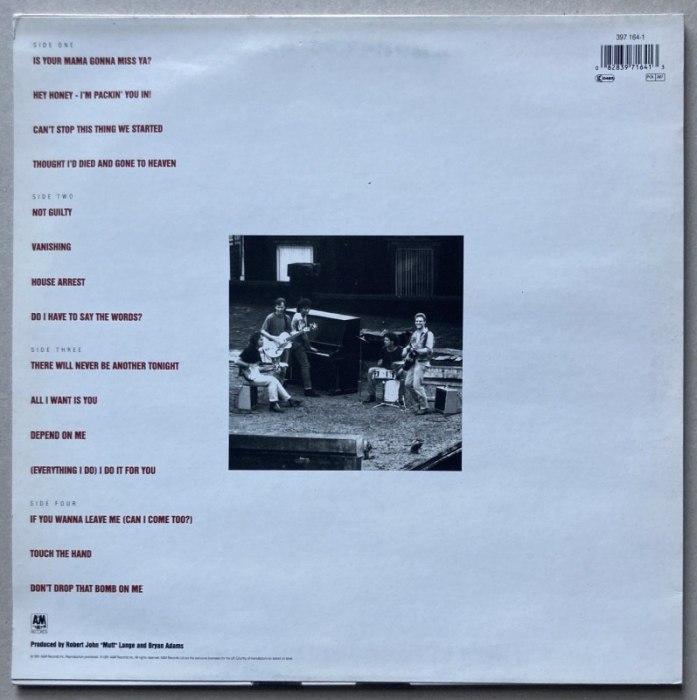 Bryan Adams - Waking Up The Neighbours (2LP)