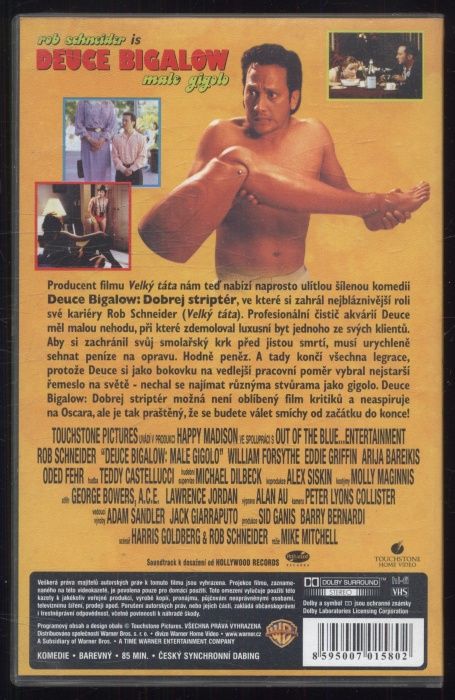 Deuce Bigalow: Dobrej striptér (VHS)
